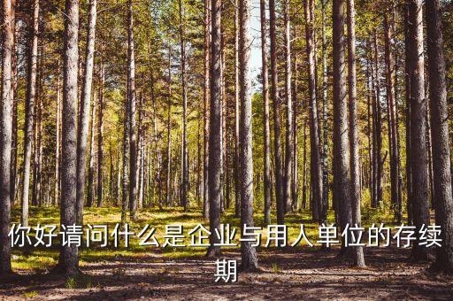 什么叫存續(xù)合同，法律上所謂的續(xù)存是什么意思