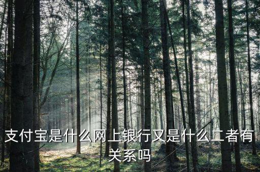 支付寶屬于什么金融，支付寶是隸屬于哪個金融機構(gòu)管理的