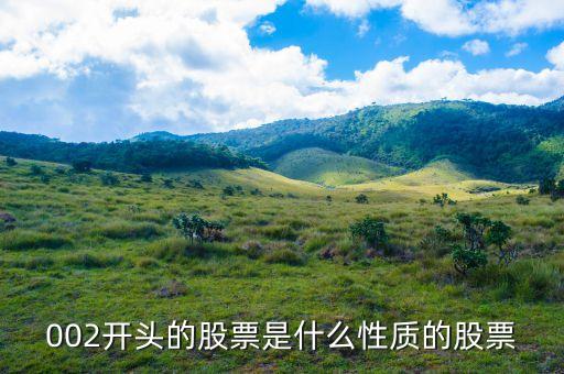 002打頭的股票代表什么，股票002開頭的是什么意思