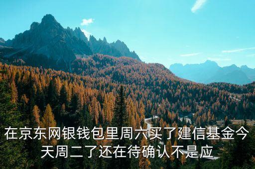 002378建信什么時候確認(rèn)份額，在京東網(wǎng)銀錢包里周六買了建信基金今天周二了還在待確認(rèn)不是應(yīng)