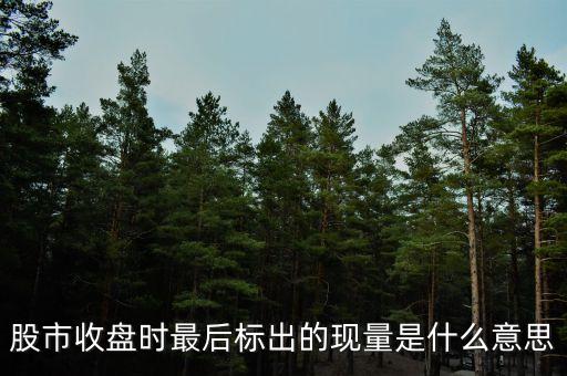 股市收盤時(shí)最后標(biāo)出的現(xiàn)量是什么意思