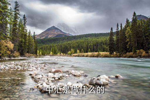 中匯事業(yè)發(fā)展部是什么，中匯集團(tuán) 好像全國好多叫中匯的不是說集團(tuán)公司名稱不能重復(fù)嗎