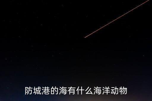 什么是沿邊金融，防城港的海有什么海洋動(dòng)物