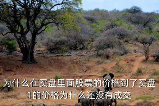 為什么股票買(mǎi)一價(jià)不交易，為什么在買(mǎi)盤(pán)里面股票的價(jià)格到了買(mǎi)盤(pán)1的價(jià)格為什么還沒(méi)有成交