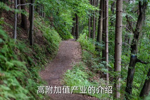 什么是高附加值產(chǎn)業(yè)，高附加值產(chǎn)業(yè)的介紹