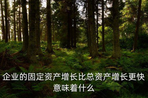 固定資產(chǎn)增長(zhǎng)說(shuō)明什么，流動(dòng)資產(chǎn)固定資產(chǎn)長(zhǎng)期投資都增加從公司資產(chǎn)規(guī)模及變動(dòng)趨勢(shì)