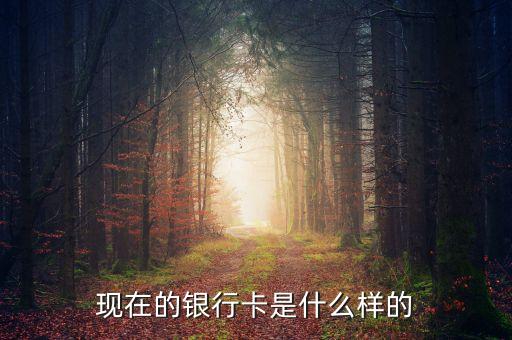 首都銀行卡長什么樣，銀行卡賬號長什么樣