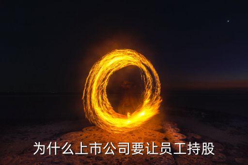 公司強(qiáng)迫員工入股的動(dòng)機(jī)是什么，4個(gè)人的公司要求員工入股是什么目的