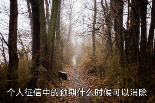 中國正信什么時候分紅，個人征信中的預(yù)期什么時候可以消除