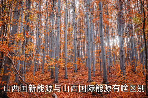 國新能源是什么企業(yè)，浙江國能新能源有限公司怎么樣