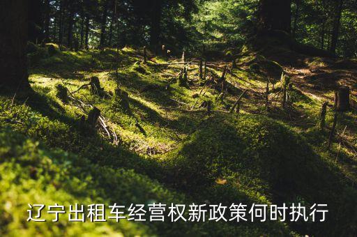 出租車新規(guī)什么時候出臺，全國有哪些地方放開出租車手續(xù)的管控了嗎
