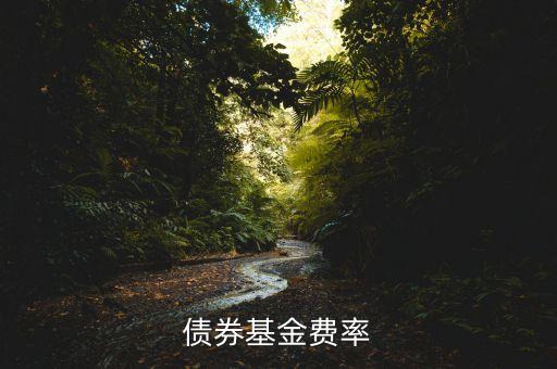 債券基金費率什么意思，債券基金費率