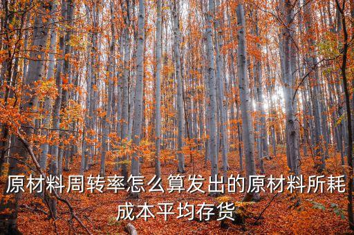 材料周轉(zhuǎn)率是什么，90原材料周轉(zhuǎn)率周轉(zhuǎn)天數(shù) 什么意思