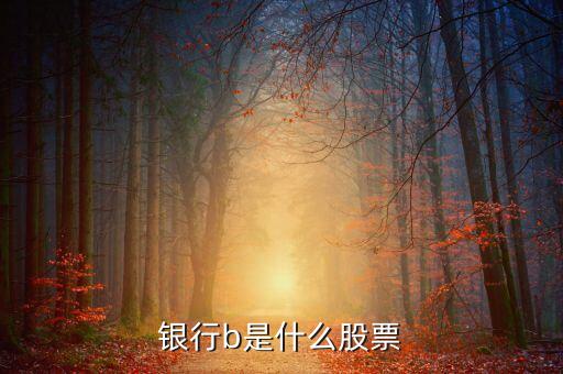 新能車b是什么股，新能車b是b股嗎會比a股風險大嗎