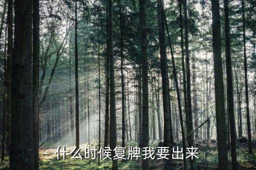 正太電器什么時(shí)候復(fù)牌，什么時(shí)候復(fù)牌我要出來