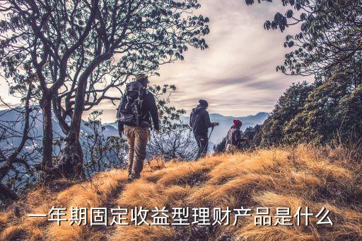 一年期理財(cái)險(xiǎn)是什么，支付寶推一年期理財(cái)產(chǎn)品 什么意思 一年期理財(cái)是指定期存款1年