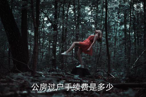 公房使用權(quán)轉(zhuǎn)讓需要交什么錢，公租房使用權(quán)交易如何收費(fèi)