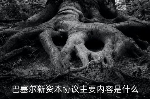 新資本協(xié)議是什么，新巴塞爾資本協(xié)議的介紹