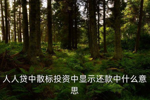 散標是什么意思，散標是什么