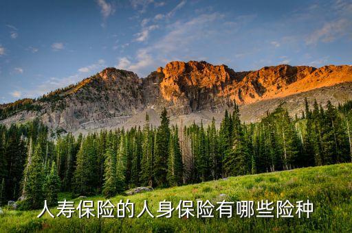 什么是傳統(tǒng)險(xiǎn)非傳統(tǒng)險(xiǎn)，保險(xiǎn)市場(chǎng)目前有哪些保險(xiǎn)產(chǎn)品如何進(jìn)行分類(lèi)每類(lèi)有什么特點(diǎn)