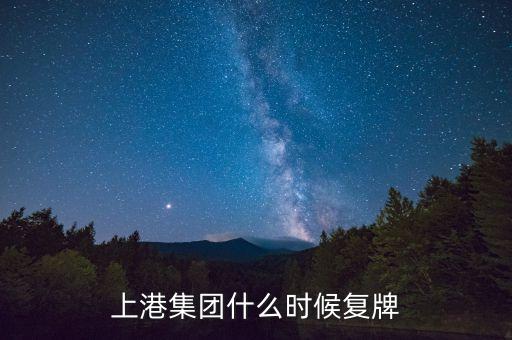 上港集團(tuán)什么時候復(fù)牌