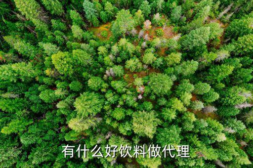 現(xiàn)在有沒有什么好的飲料找經(jīng)銷商，有什么好飲料做代理