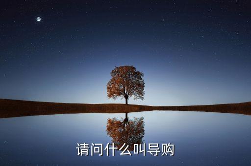 電商導(dǎo)購(gòu)是什么，什么是導(dǎo)購(gòu)