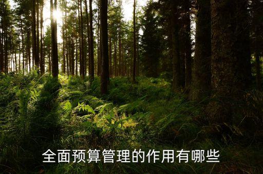 什么是預(yù)算管理，什么是預(yù)算控制