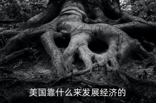 美國經(jīng)濟(jì)靠什么，美國靠什么來發(fā)展經(jīng)濟(jì)的