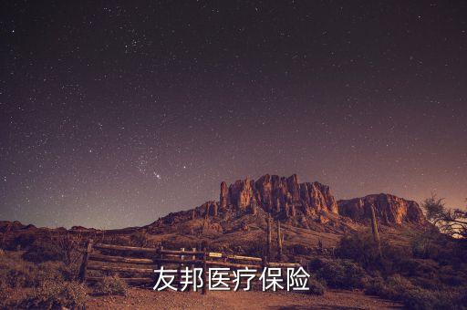 花旗代理友邦什么保險，花旗和友邦合作的意外保險怎么樣