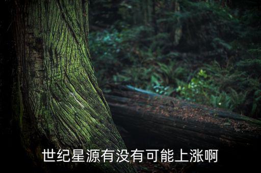 世紀星源股為什么不會漲，世紀星源有沒有可能上漲啊