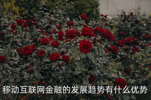 移動金融技術(shù)創(chuàng)新應(yīng)以什么為底線，移動互聯(lián)網(wǎng)金融的發(fā)展趨勢有什么優(yōu)勢