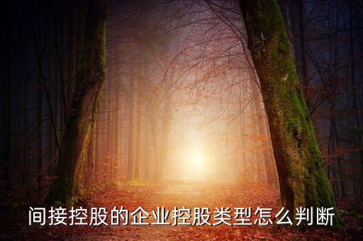 間接持股是什么意思，間接是什么意思
