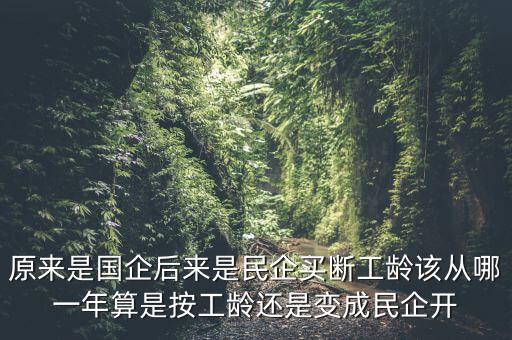 廣西貴糖什么時候變私企，廣西在什么時候開始變得落后起來的原因是