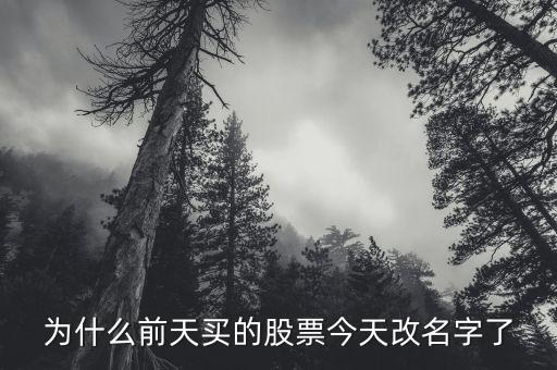 股票換名子代表什么，股票的名字改了能說(shuō)明什么