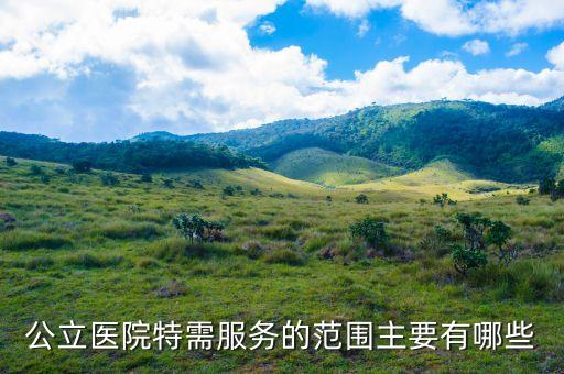 特需服務服務給醫(yī)院帶來了什么，公立醫(yī)院特需服務的范圍主要有哪些