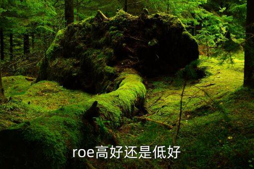 roe低說明什么，凈資產(chǎn)收益率反應(yīng)了些什么
