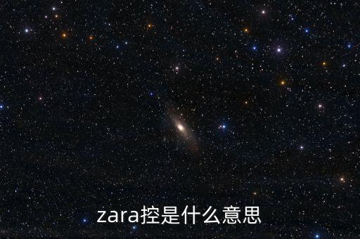 普邦金控是什么，zara控是什么意思