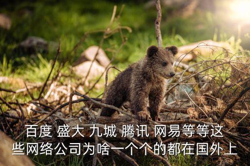 盛大為什么上市，百度 盛大 九城 騰訊 網(wǎng)易等等這些網(wǎng)絡(luò)公司為啥一個個的都在國外上