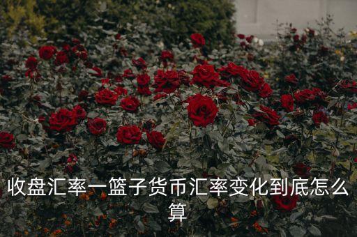 cfets貨幣籃子是什么，CF中籃子和UT代表什么