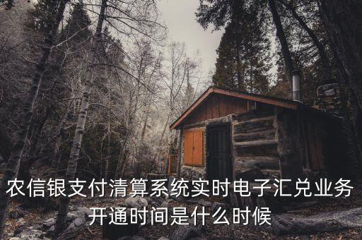 什么是特約電子匯兌，各位大神請問有誰知道建行卡交易明細(xì)清單上寫的特約匯融