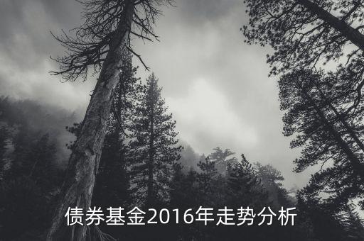 2016年的債券的投資的方向是什么，債券基金2016年走勢分析