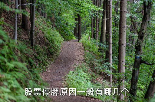 上工申貝為什么停牌，上工申貝出現(xiàn)缺口巨大后市如何