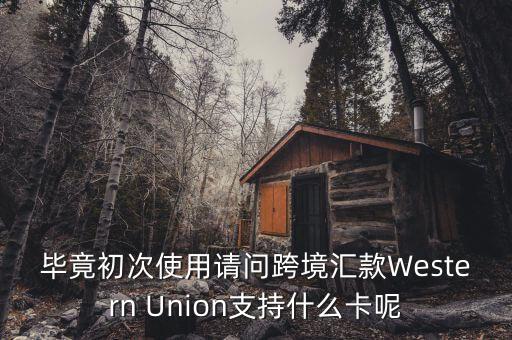什么是西聯(lián)，畢竟初次使用請問跨境匯款Western Union支持什么卡呢
