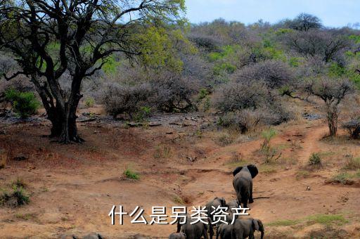 什么是另類投資，哪些項(xiàng)目屬于另類資產(chǎn)投資
