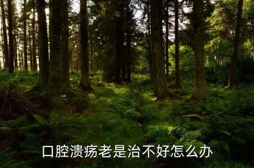 云南咖啡豆在什么時候采摘，云南小?？Х仍趺闯砸髥?/></a></span><span id=