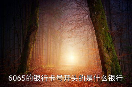 6055開頭是什么銀行，6055開頭是什么銀行的 急求