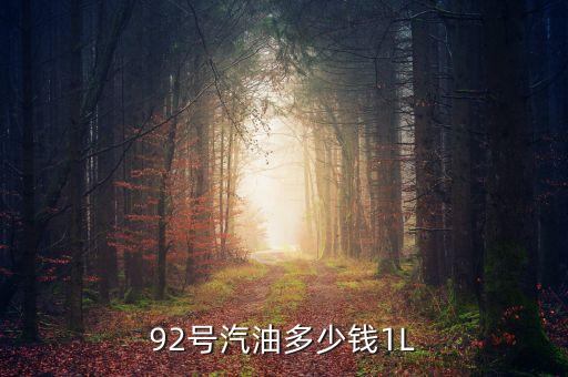 92號(hào)汽油什么價(jià)，92汽油價(jià)格