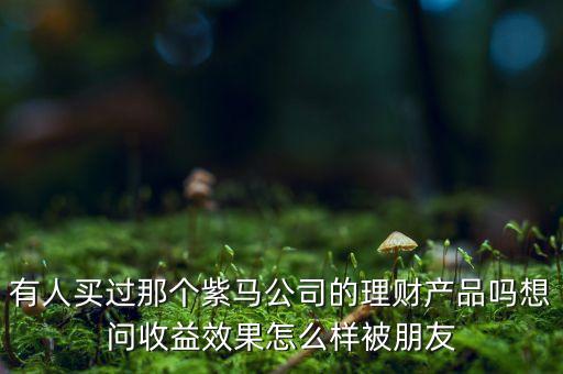 紫馬財(cái)富什么時(shí)間，有人買過那個(gè)紫馬公司的理財(cái)產(chǎn)品嗎想問收益效果怎么樣被朋友