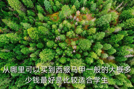 什么牌子賣(mài)西裝馬甲，什么牌子的西裝馬甲好